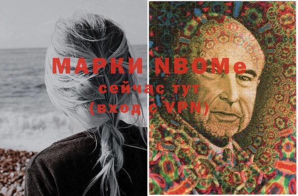 винт Абаза