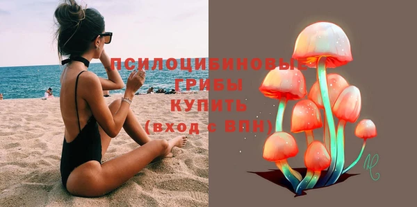 винт Абаза